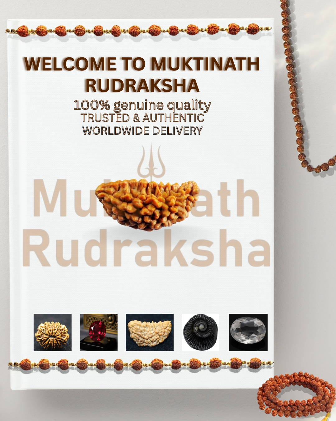 Customer Login Page Image