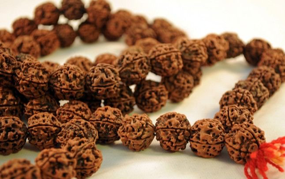 Rudraksha in Hinduism – The Divine Connection with Lord Shiva