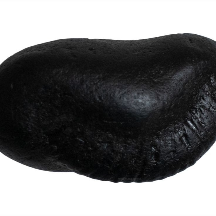 Matsya Shaligram