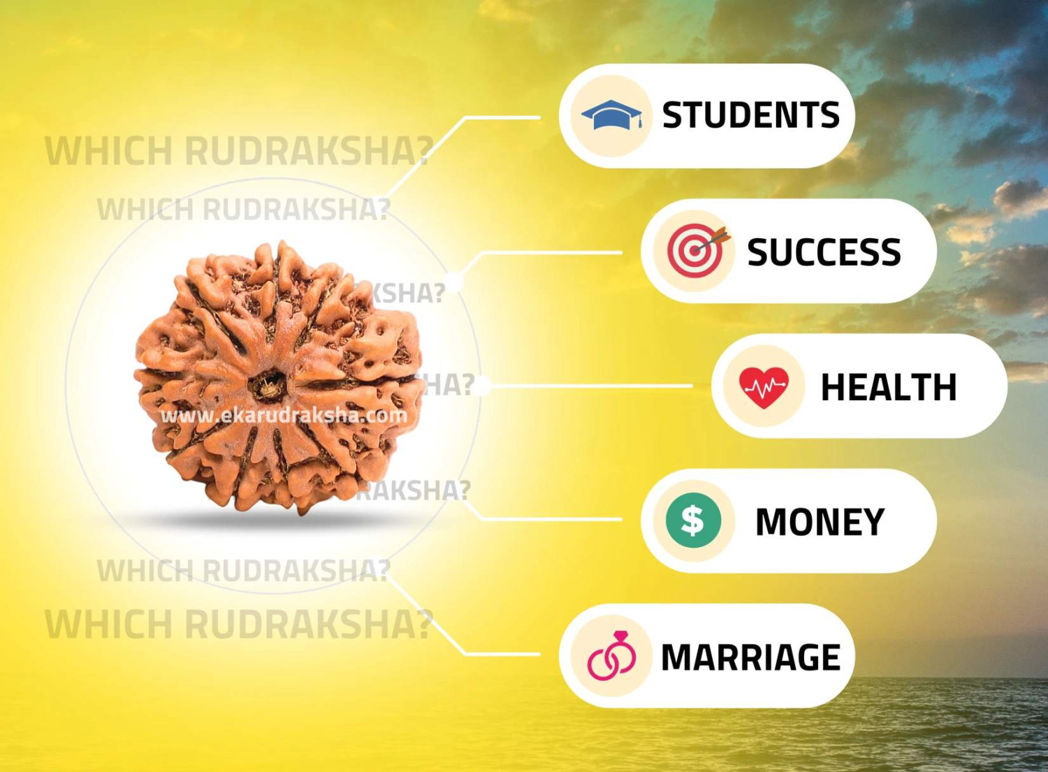 Benefits of Wearing Rudraksha for Students: Focus, Memory & Academic Success
