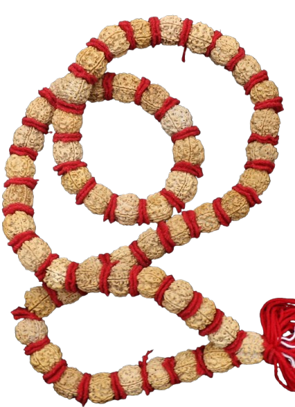 5 Mukhi Kantha Mala